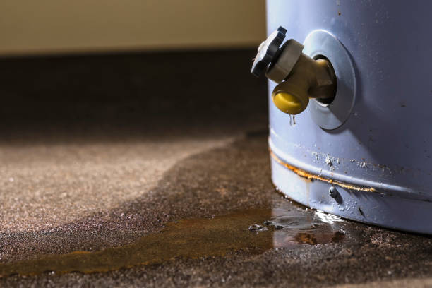 Best Water damage contractors near me  in West View, PA
