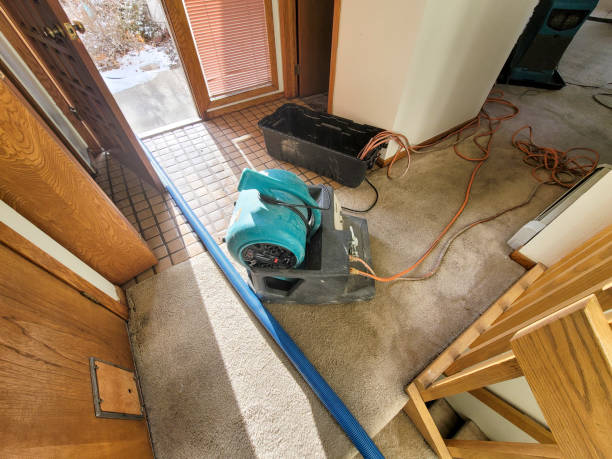 Best Ceiling water damage repair  in West View, PA