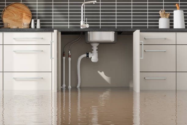 Best Water damage restoration near me  in West View, PA