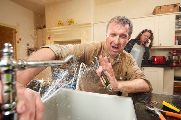 Best Flood restoration services  in West View, PA